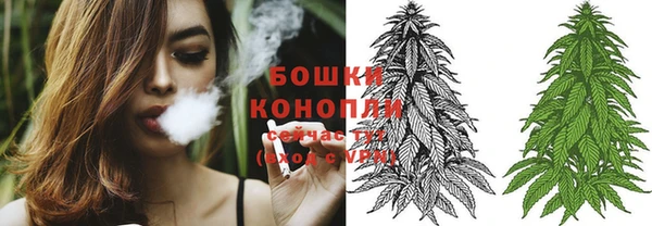 бошки Каменка